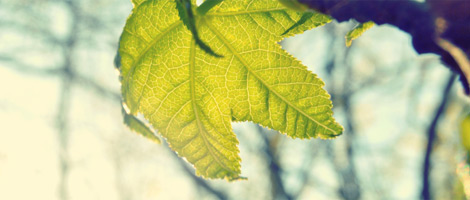 不停给对方打电话的软件